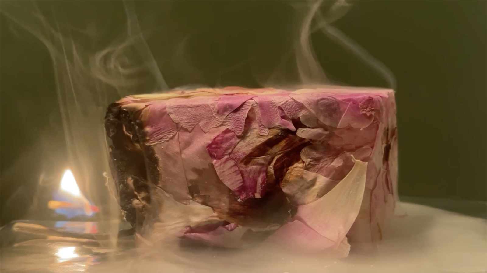 PLANT MAGICK